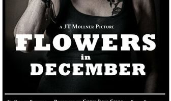 Цветы в декабре