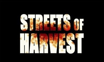 Улицы жатвы