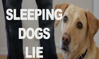 Sleeping Dogs Lie
