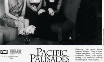 Тихие палисады