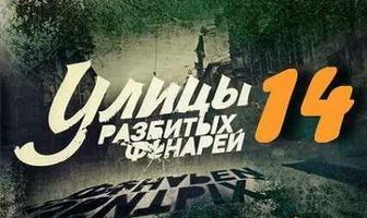 Улицы разбитых фонарей 14