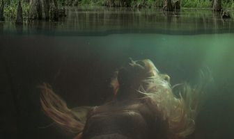 Тайны болот