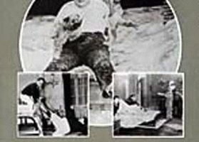 Будь больше!