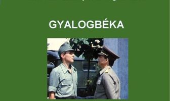 Лягушка — пехотинец