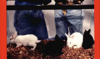 3-2-1 контакт