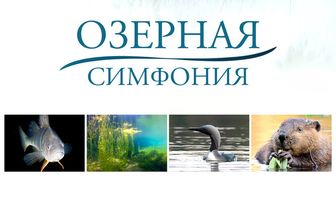 Озерная симфония