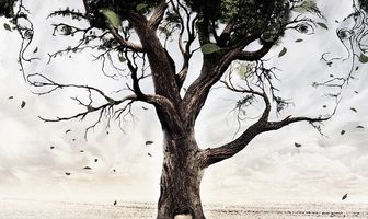 Ветреная женщина