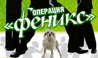 Операция «Феникс»