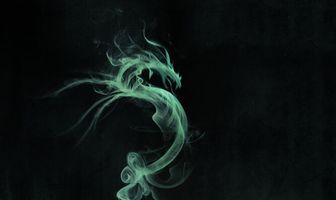 Драконы Нью-Йорка