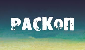 Раскоп