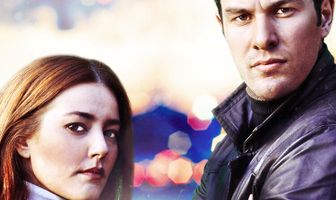 Красное яблоко