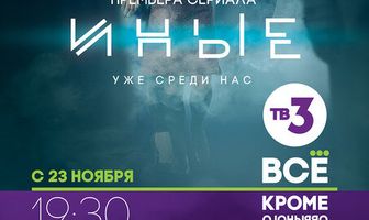 Иные