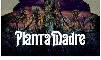Planta madre