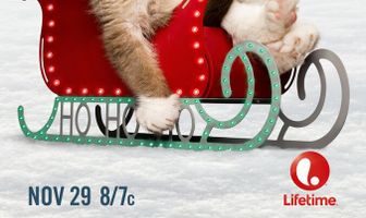 Худшее Рождество Сердитой кошки