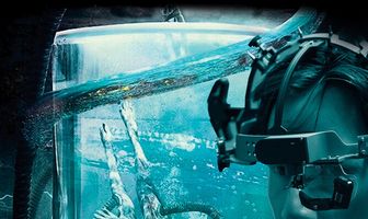 Репродукция