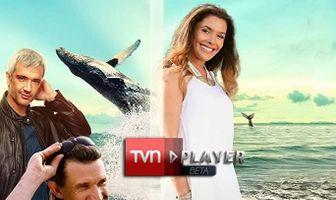 Бухта солнца