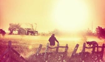 Моё дикое сердце