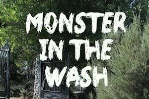 Monster in the Wash