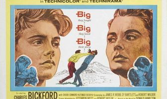 Большая страна