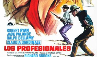 Профессионалы