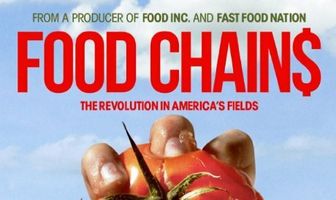 Food Chains