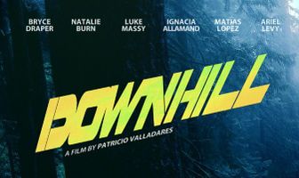 Скоростной спуск