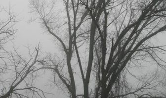 A Haunting in Arkansas