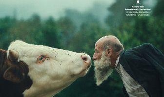 Лучше свихнуться в дремучем лесу
