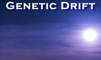 Genetic Drift