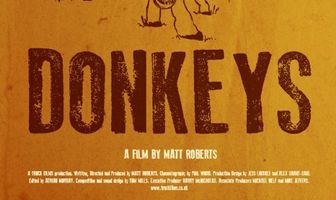 Donkeys