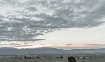 Land of Dreams