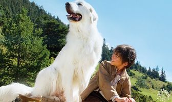 Белль и Себастьян: Приключения продолжаются