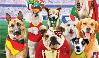 Щенки Юнайтед