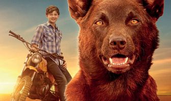 Рыжий пес: Самый верный