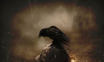The Raven at Rue Morgue