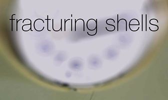 Fracturing Shells