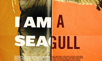 I Am a Seagull
