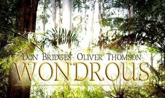 Wondrous