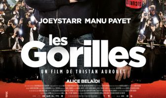 Les gorilles