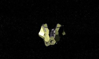 The Stowaway