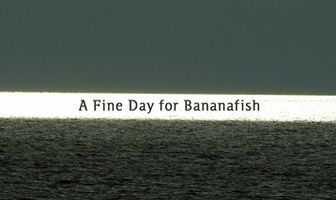 Divan dan za bananaribe