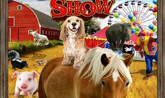 A Dog & Pony Show