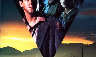 Ночной попутчик