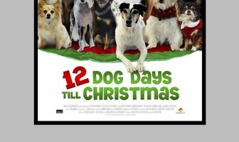 12 Dog Days of Christmas