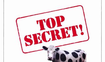 Совершенно секретно!