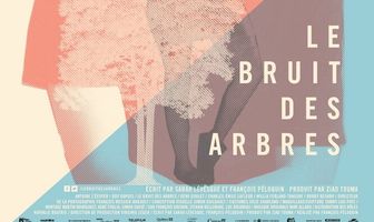 Шум деревьев