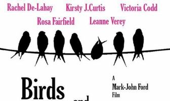 Birds and Dogs
