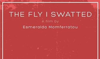 The Fly I Swatted