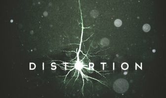 Distortion