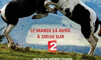 Le plus beau pays du monde, Opus 2